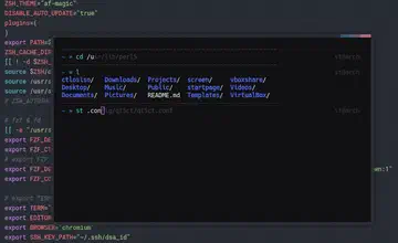 Zsh Config - 1